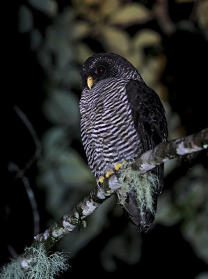 San Isidro - Ecuador