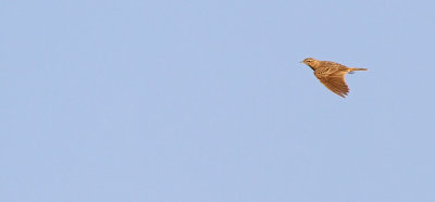 g9/33/747033/3/154730060.9cJ1LJFz.jpg