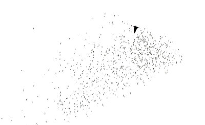 g9/33/747033/3/154851957.b0bbpbdk.jpg