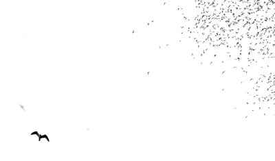 g9/33/747033/3/154851958.u6nF7WB8.jpg