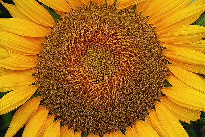 g9/33/776733/3/156649943.wDsKBZ9H.jpg