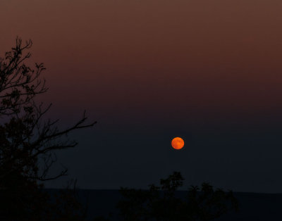 Moonrise