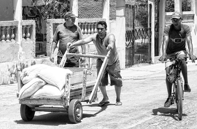 Toiling in the midday heat