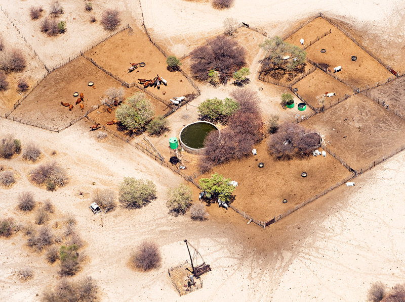 Kalahari Cattle-Ranch