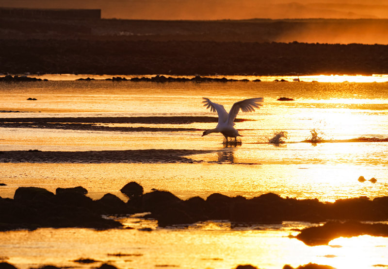 Sunset Takeoff