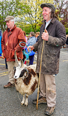 The Shepherd
