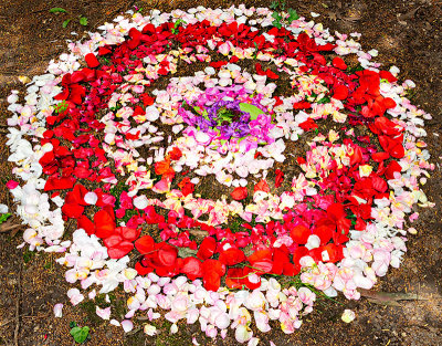Petal Power