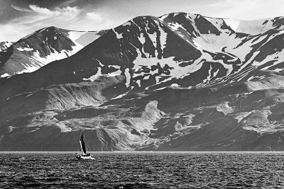 Summer in Iceland