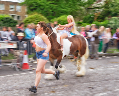 Equine Exercise