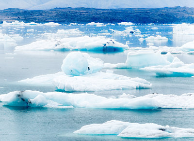 Blue Icebergs 