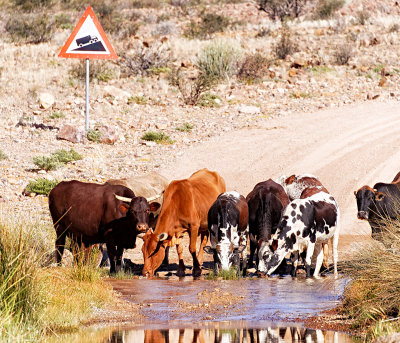 Thirsty Work