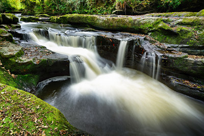 Falling Water