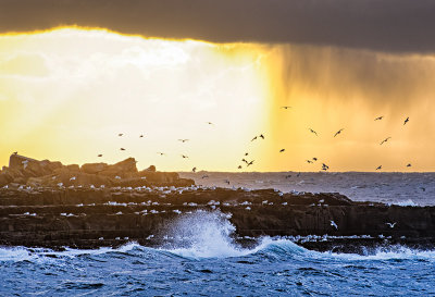 Approaching Storm