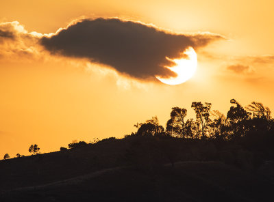 Tropical Sunset