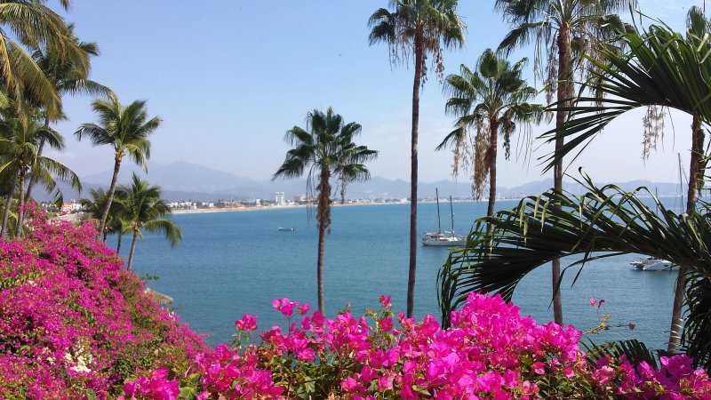 Dolphin Cove balcony view