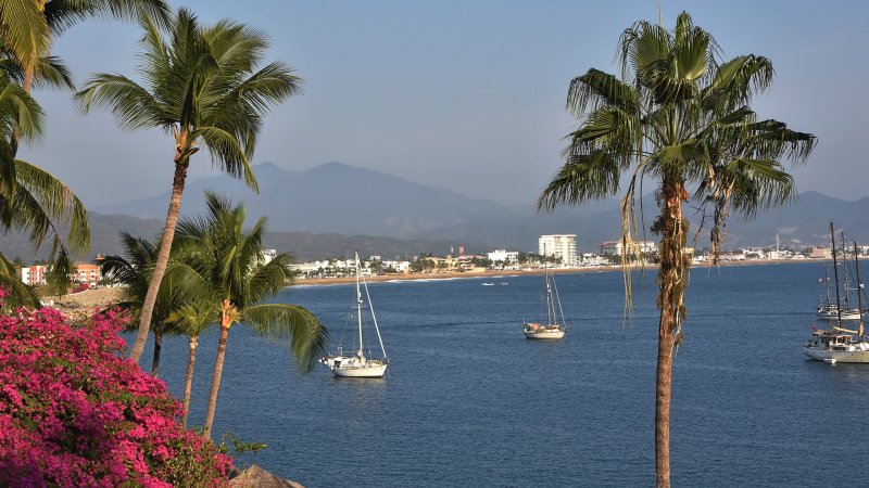 Dolphin Cove view