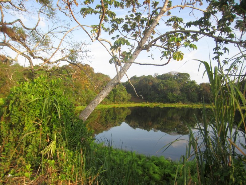 Ammo Dump Ponds
