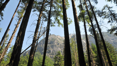 Glacier NP view 