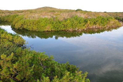 Estero del Yugo tower view