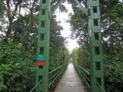 Bridge at La Selva