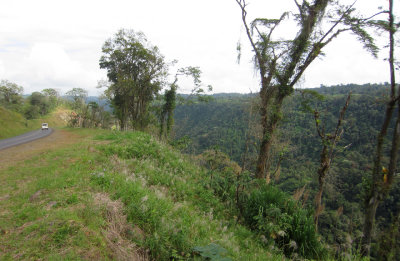 Roadside at Chinchona