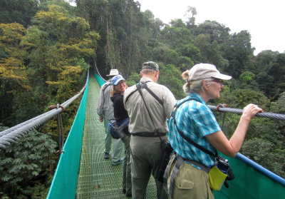 Bridge at Sky Trek