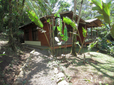 Helicoias Lodge rooms