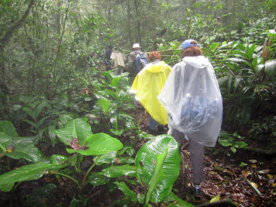 Heliconias Lodge trails