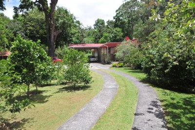 Cielito Sur driveway