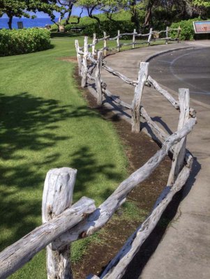 Fence C015615