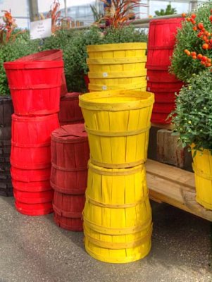 Colour 9228429
