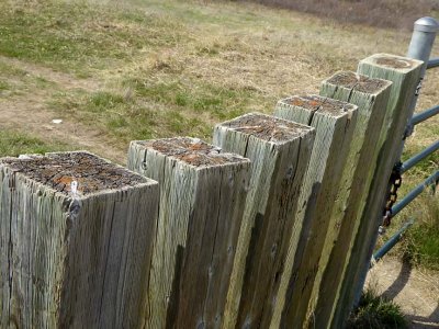 Fence 1000058