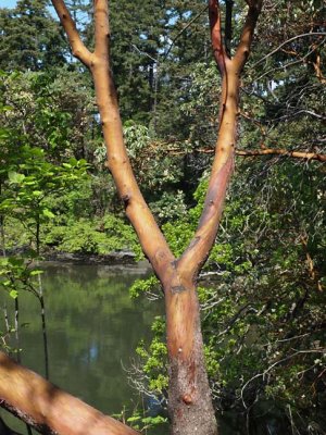 Nature 5062128
