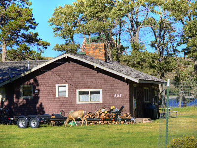 Waterton Lakes National Park