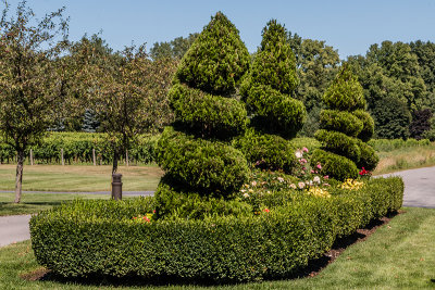 Peller 19.jpg