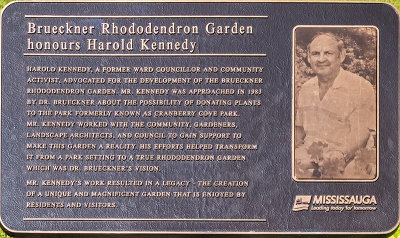 rhododendron_garden