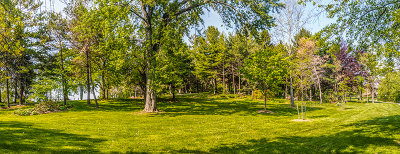 rhododendron_garden