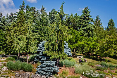 Arboretum 05.jpg