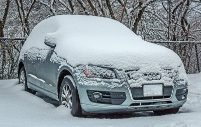 Snow 16.jpg