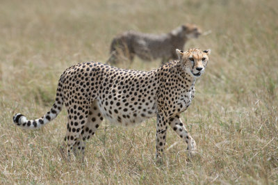 Serengeti National Park