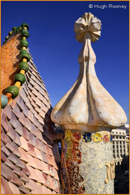  Barcelona - Casa Batllo by Gaudi