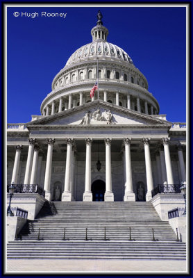 Washington DC - Capitol Building 