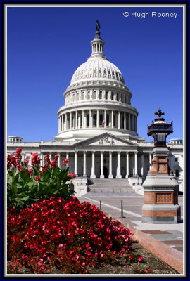 Washington DC - Capitol Building