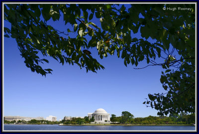 Washington DC - National Mall - Thomas Jefferson Memorial 