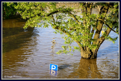  Dresden - Partially submerged Parking sign as River Elbe floods 