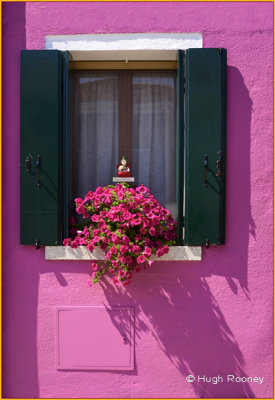  Venice - Burano Island - Colourful house facade 