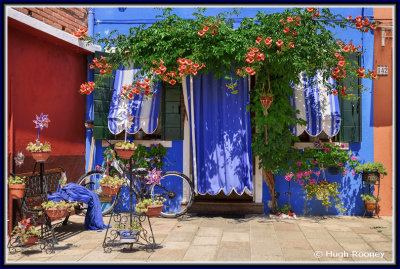  Venice - Burano Island - Colourful floral housefront. 