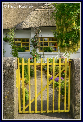  Ireland - Co.Limerick - Adare - Thatched cottage in the village 