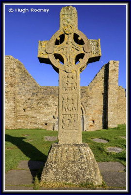  Ireland - Co.Offaly - Clonmacnoise - Cross of the Scriptures. 