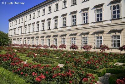  Austria - Salzburg - Mirabell Palace and Rose Garden 